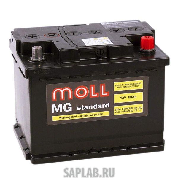 Купить MOLL 60R550A Аккумулятор MOLL MG Standard 60R 550A 242x175x190